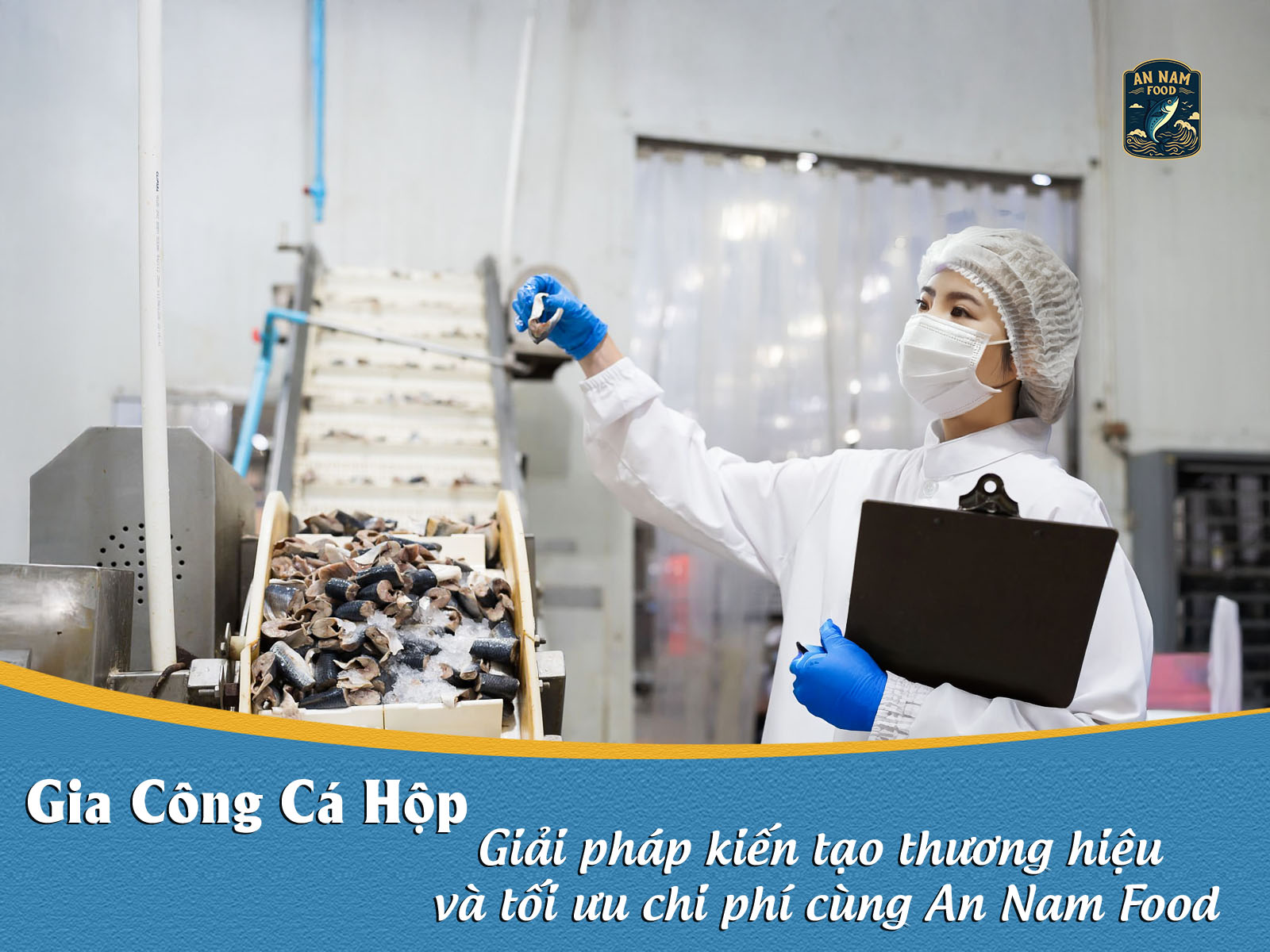 Gia Công Cá Hộp: Giải Pháp Kiến Tạo Thương Hiệu Và Tối ưu Chi Phí Cùng An Nam Food