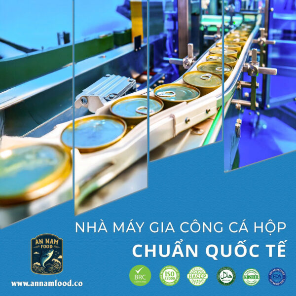 Oem Cá Hộp Theo Yêu Cầu Giải Pháp Xây Dựng Thương Hiệu Cá Hộp Riêng Cùng An Nam Food