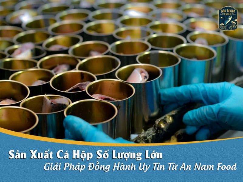 Sản Xuất Cá Hộp Số Lượng Lớn