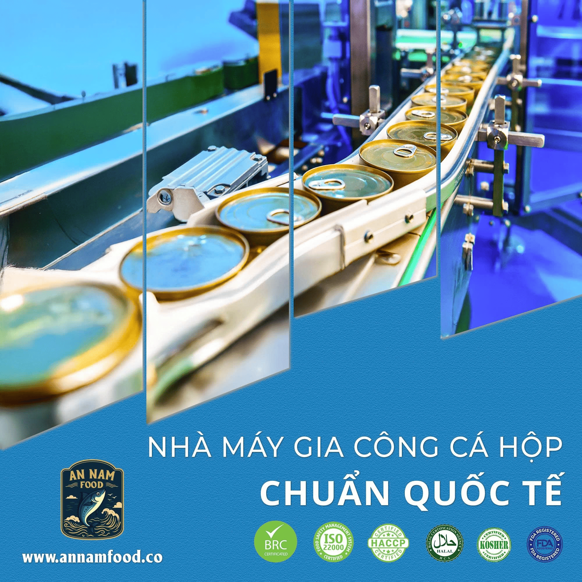 Sản Xuất Cá Hộp Và Thiết Kế Bao Bì Theo Yêu Cầu 