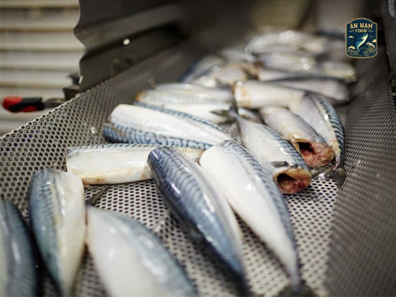 An Nam Food Canned Fish Processing Factory – Your Trusted Partner In Canned Fish Processing & Manufacturing