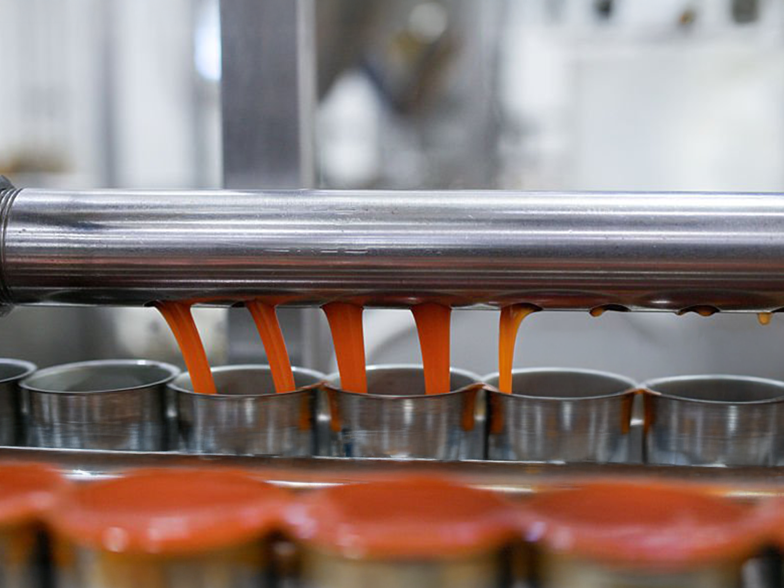 Comprehensive Canned Fish Production And Processing Support Service By An Nam Food