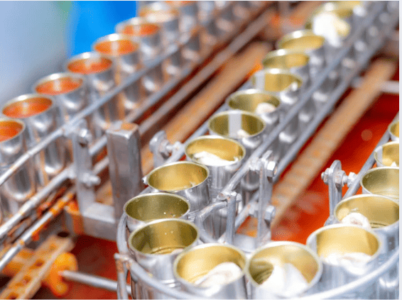 Large Scale Canned Fish Manufacturing Factory | A Trusted Production Partner By An Nam Food