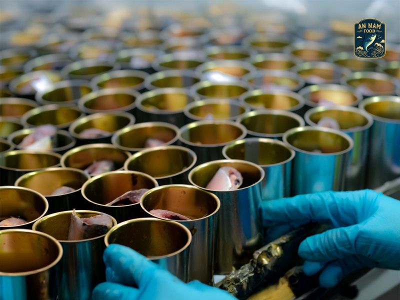 Large Scale Canned Fish Manufacturing Factory | A Trusted Production Partner By An Nam Food
