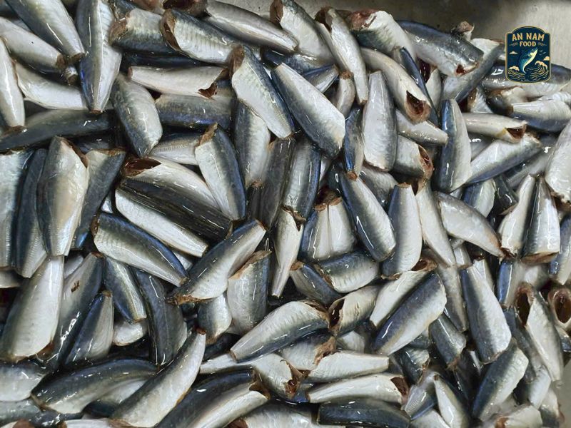Large Scale Canned Fish Production And Supply: A Seamless Global Export Solution
