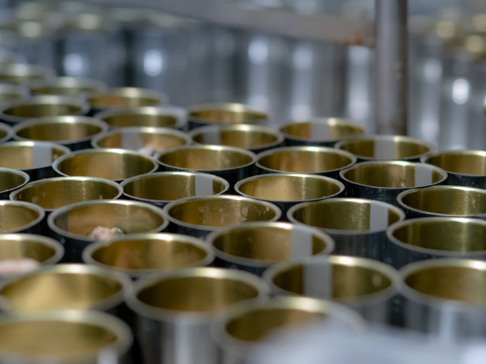 An Nam Food Canned Fish – Delicious, Nutritious, And Perfectly Convenient