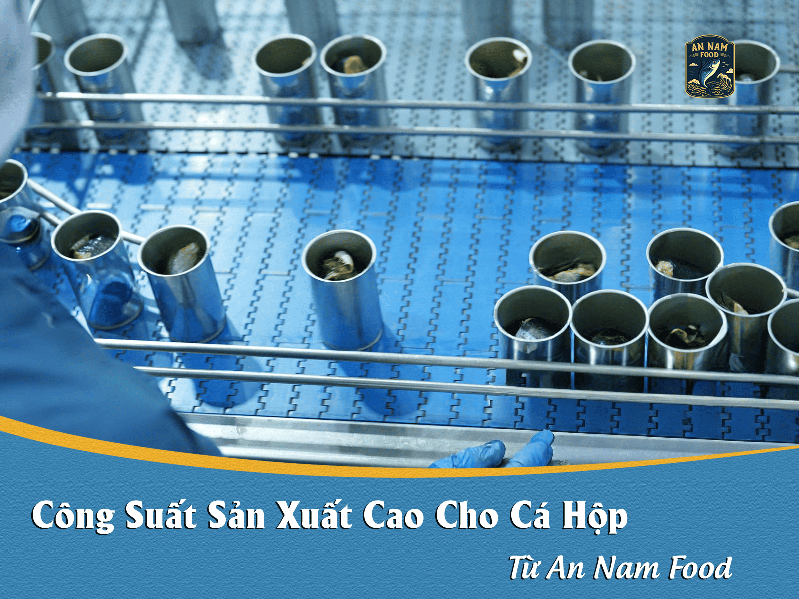 Công Suất Sản Xuất Cao Cho Cá Hộp Từ An Nam Food