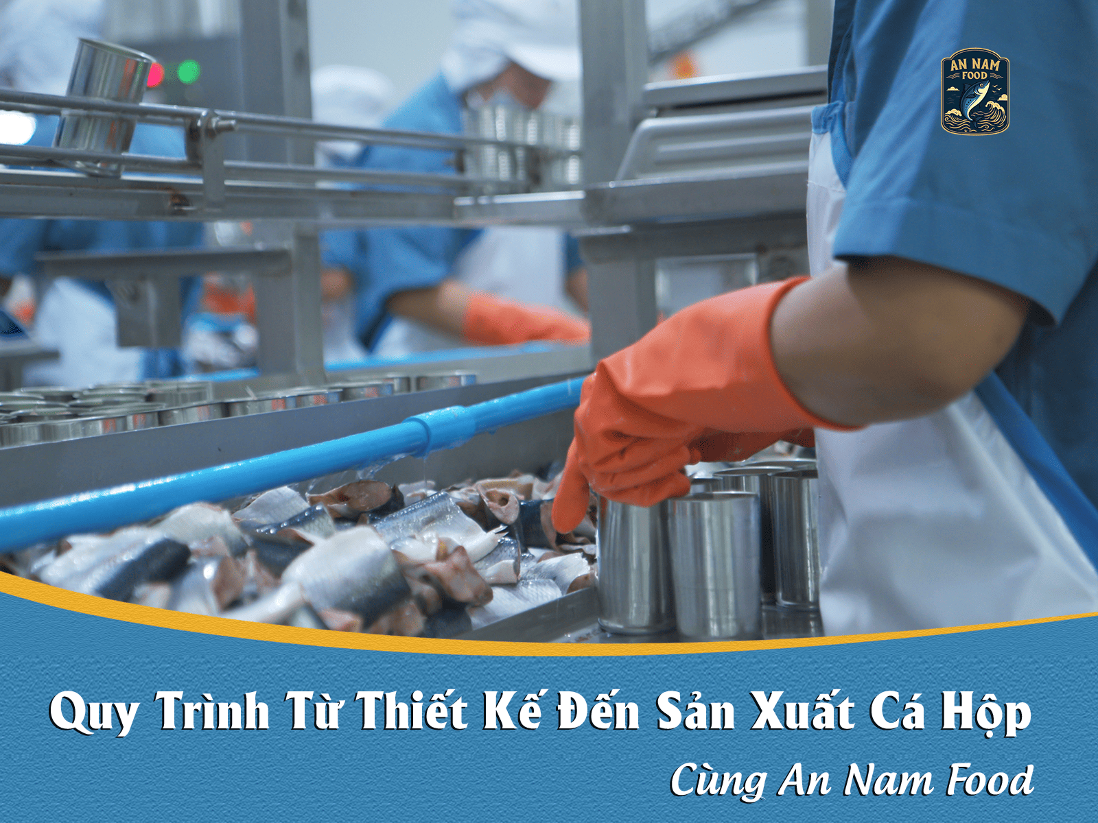 Từ Thiết Kế Đến Sản Xuất Cá Hộp